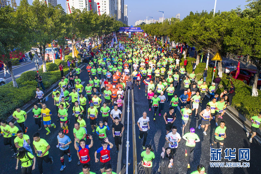 2017�������ʰ��������������